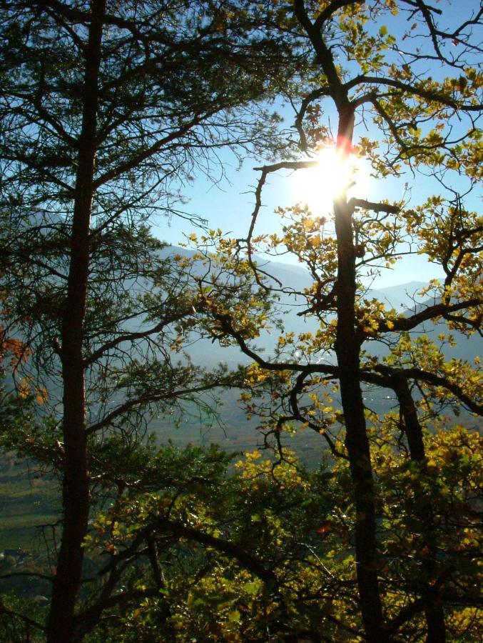 Wascherhof - Ferienwohnungen Oberhofer มาร์เต็ลโล ภายนอก รูปภาพ
