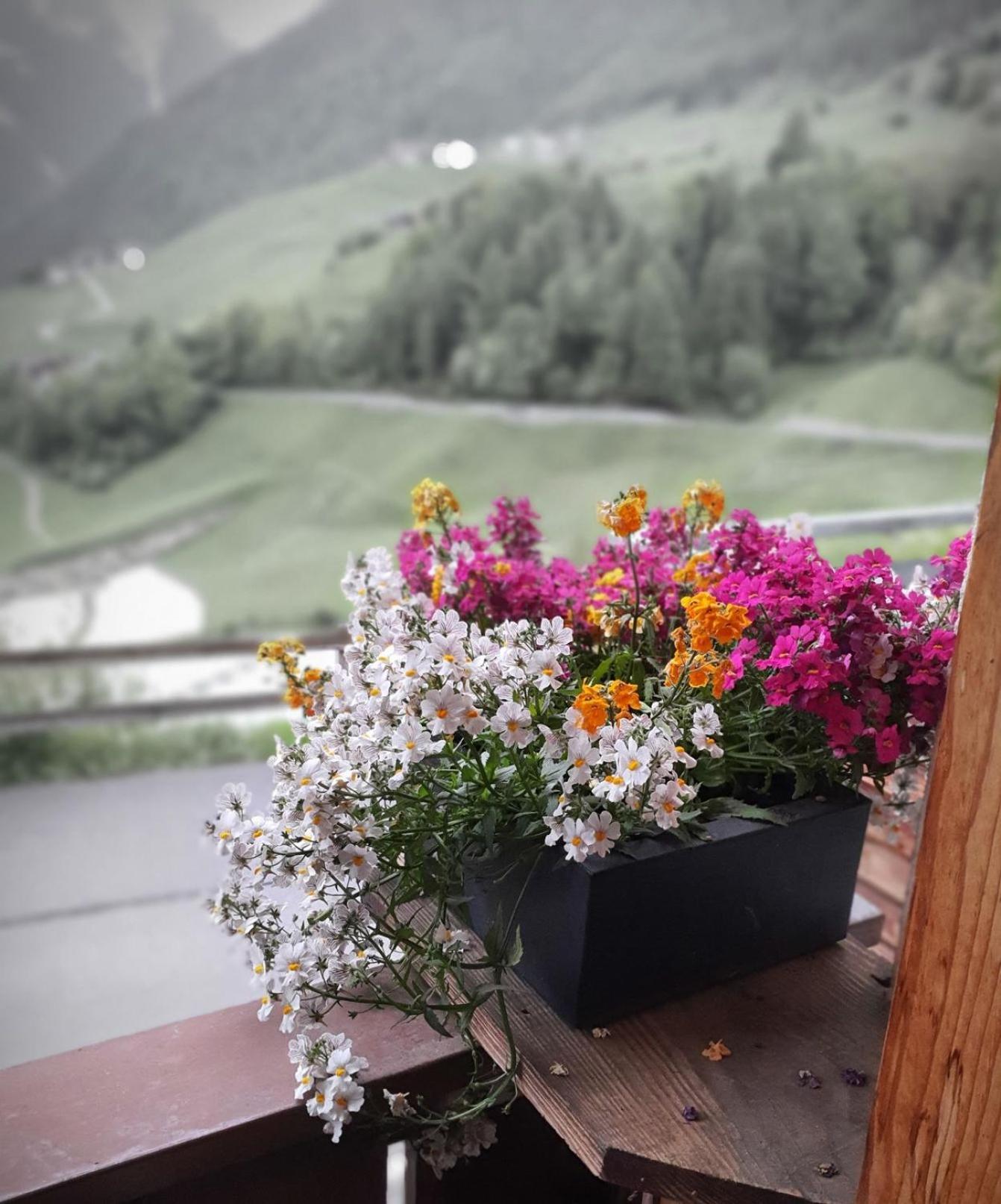 Wascherhof - Ferienwohnungen Oberhofer มาร์เต็ลโล ภายนอก รูปภาพ